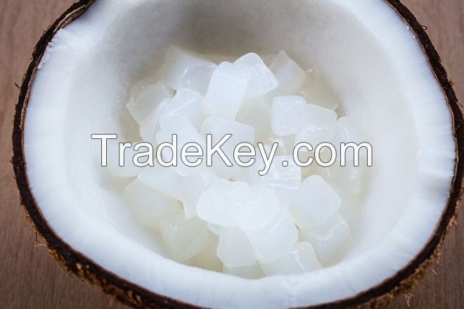 PURE NATA DE COCO / CLEAN INGREDIENT / PLANT-DERIVED DESSERT BASE