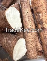 PURE YAM ROOT SLICE / NON-GMO / ADDITIVE-FREE / PLANT-DERIVED INGREDIENT