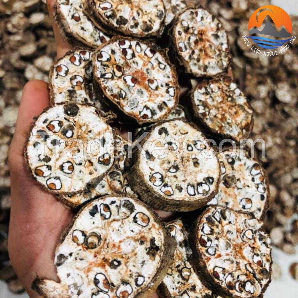SUN-DRIED FOREST BANANA / NON-GMO / ADDITIVE-FREE / VEGAN FRIENDLY