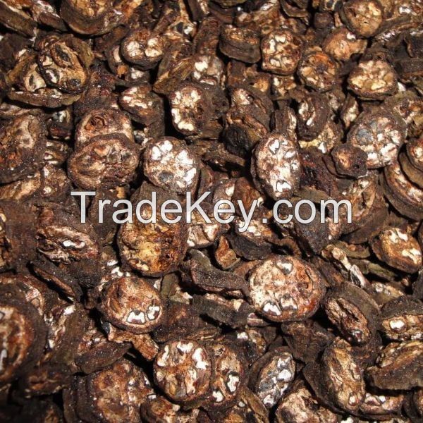 WILD MOUNTAIN BANANA / CLEANLY DRIED / NATURAL FRUIT CHIPS