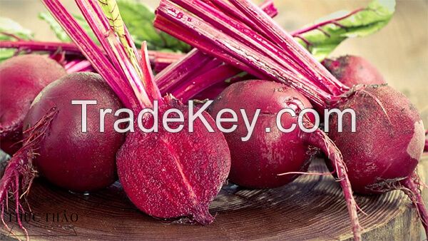 BEETROOT SUPERFOOD POWDER / CIRCULATION SUPPORT / ANTIOXIDANT LOADED / PLANT-BASED