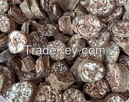 WILD MOUNTAIN BANANA / CLEANLY DRIED / NATURAL FRUIT CHIPS