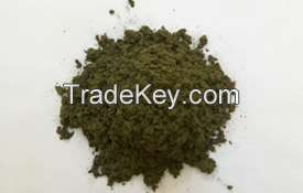 RAMIE DETOX POWDER / GUT SUPPORT / PLANT GOODNESS / CLEAN LABEL