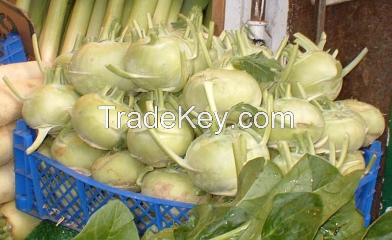 KOHLRABI FREEZE / FRESHLY FROZEN / RICH IN ANTIOXIDANTS / FARM TO FREEZER