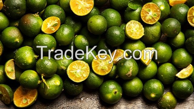 NATURAL CALAMANSI PUREE / IMMUNITY BOOST / CLEAN LABEL / ANTIOXIDANT-RICH