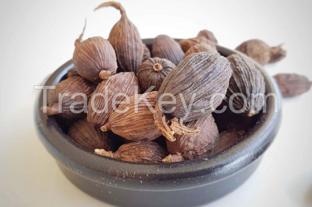 CLEAN LABEL CARDAMOM / NATURAL VIETNAMESE SPICE / WILD HARVESTED 