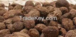 CLEAN LABEL CARDAMOM / NATURAL VIETNAMESE SPICE / WILD HARVESTED 