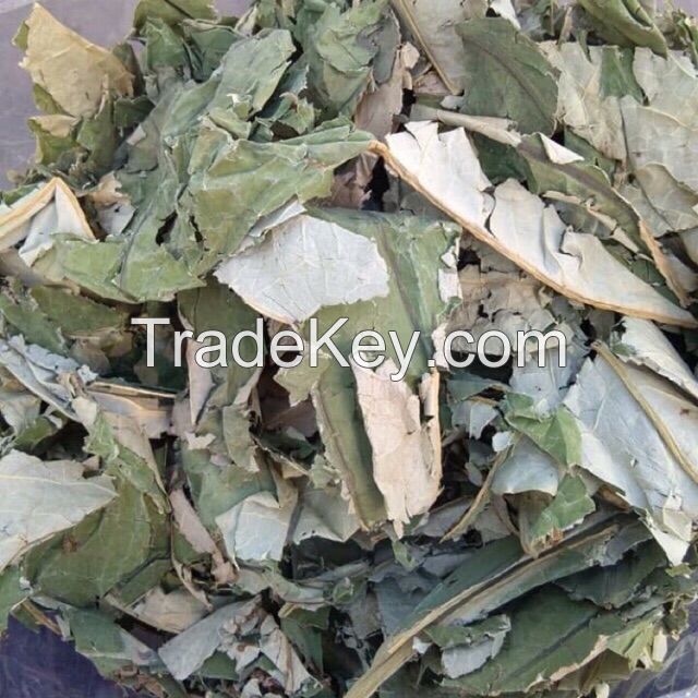 NELUMBO LEAF DRIED / CLEAN LABEL / TEA INGREDIENT / PLANT-BASED