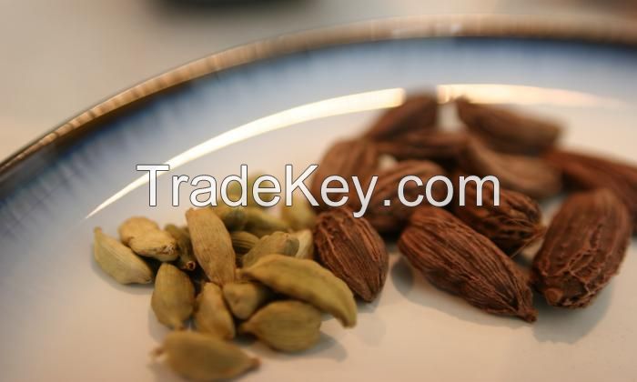 CLEAN LABEL CARDAMOM / NATURAL VIETNAMESE SPICE / WILD HARVESTED 
