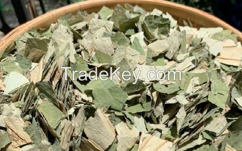 NELUMBO LEAF DRIED / CLEAN LABEL / TEA INGREDIENT / PLANT-BASED