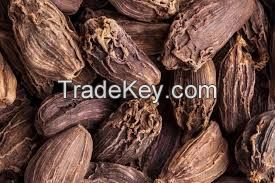 CLEAN LABEL CARDAMOM / NATURAL VIETNAMESE SPICE / WILD HARVESTED 