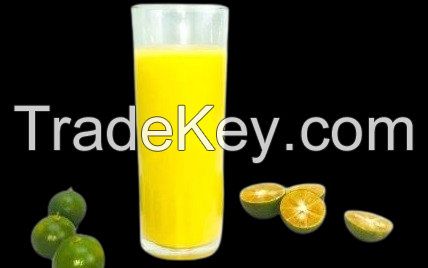 FRESH-SQUEEZED CALAMANSI / IMMUNITY SUPPORT / NO ADDITIVES / ANTIOXIDANT-RICH