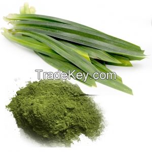 RAW PANDAN LEAF POWDER / CLEAN LABEL / IMMUNITY BOOST / HIGH ANTIOXIDANTS