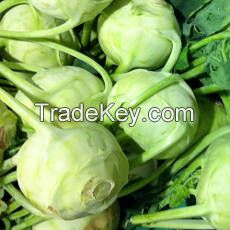 KOHLRABI FREEZE / FRESHLY FROZEN / RICH IN ANTIOXIDANTS / FARM TO FREEZER