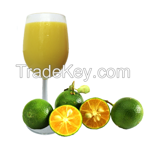 FRESH-SQUEEZED CALAMANSI / IMMUNITY SUPPORT / NO ADDITIVES / ANTIOXIDANT-RICH