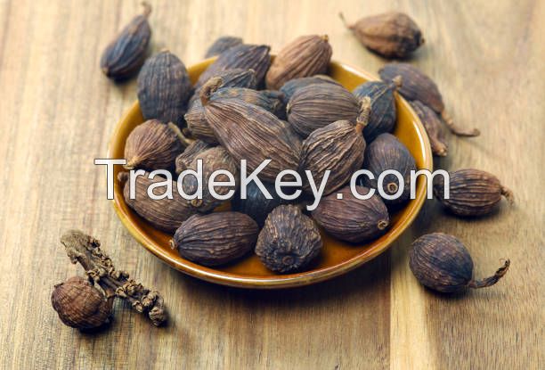 VIETNAMESE BLACK CARDAMOM / CLEAN LABEL / PLANT-BASED / NATURAL SPICE