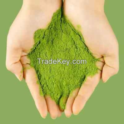 WHOLESOME PANDAN POWDER / IMMUNITY SUPPORT / CLEAN LABEL / RICH IN ANTIOXIDANTS