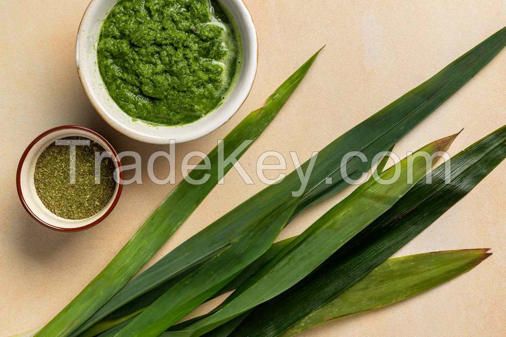 WHOLESOME PANDAN POWDER / IMMUNITY SUPPORT / CLEAN LABEL / RICH IN ANTIOXIDANTS