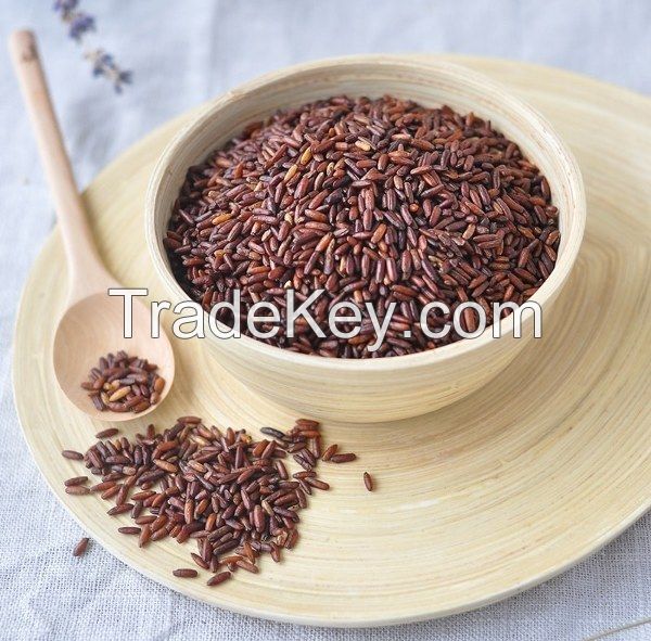 VIETNAM BROWN RICE / CLEANLY PROCESSED / WHOLE GRAIN DRIED FORM