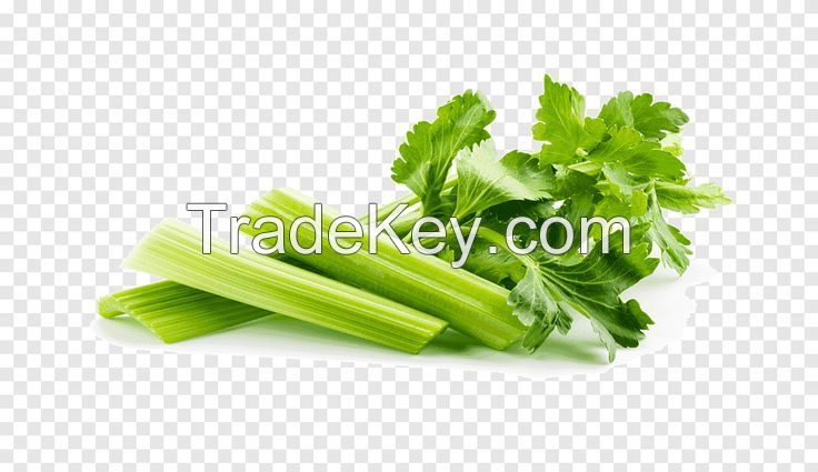 ORGANIC FROZEN CELERY / GUT-FRIENDLY / CLEAN LABEL / VITAMIN-PACKED