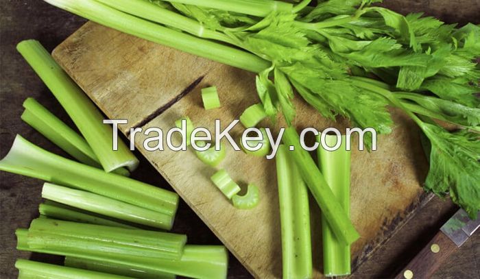 CHILLED CELERY CHUNKS / IMMUNE SUPPORT / PRESERVATIVE-FREE / FRESHLY LOCKED