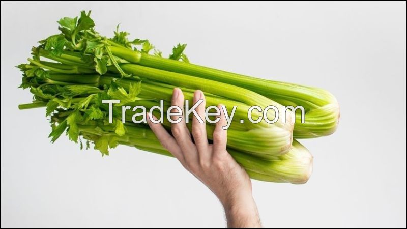 FROZEN CELERY HEARTS / NATURAL CLEANSE / CLEAN LABEL / ANTIOXIDANT FUEL