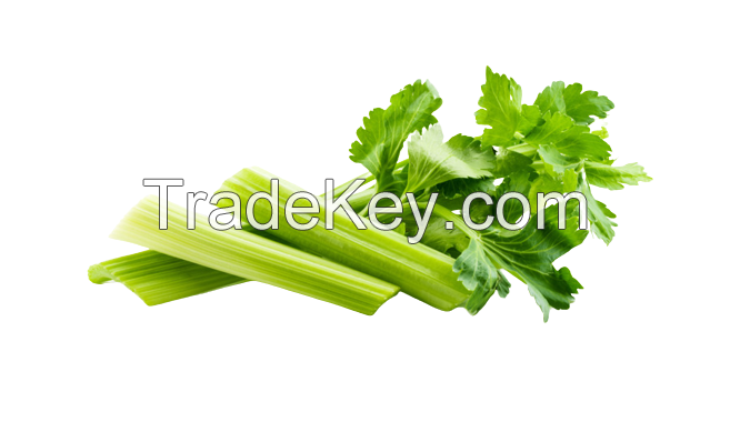 CHILLED CELERY CHUNKS / IMMUNE SUPPORT / PRESERVATIVE-FREE / FRESHLY LOCKED