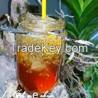 VITAL SEED DRINK / ANTIOXIDANT POWER / CLEAN INGREDIENTS / IMMUNITY BOOST
