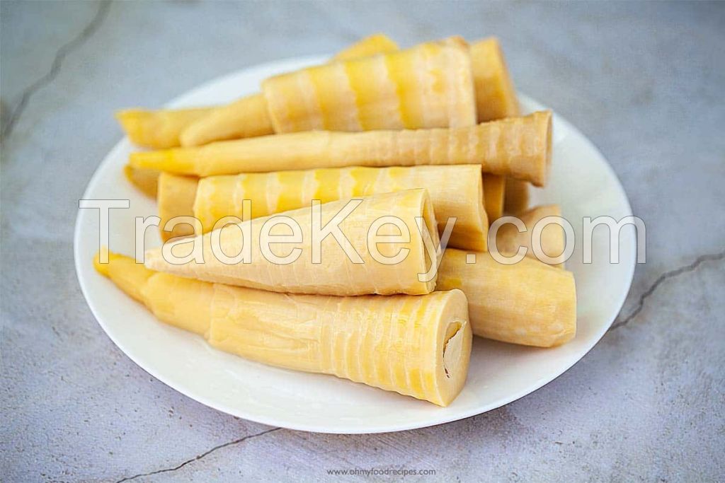 NATURAL FROZEN BAMBOO SHOOT / HIGH FIBER / CLEAN LABEL / CRISP TEXTURE