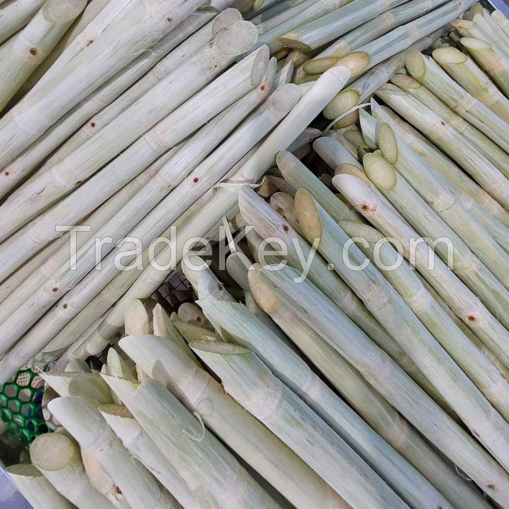 PREMIUM FROZEN SUGARCANE / NON-GMO / READY TO CHEW / VIETNAM ORIGIN