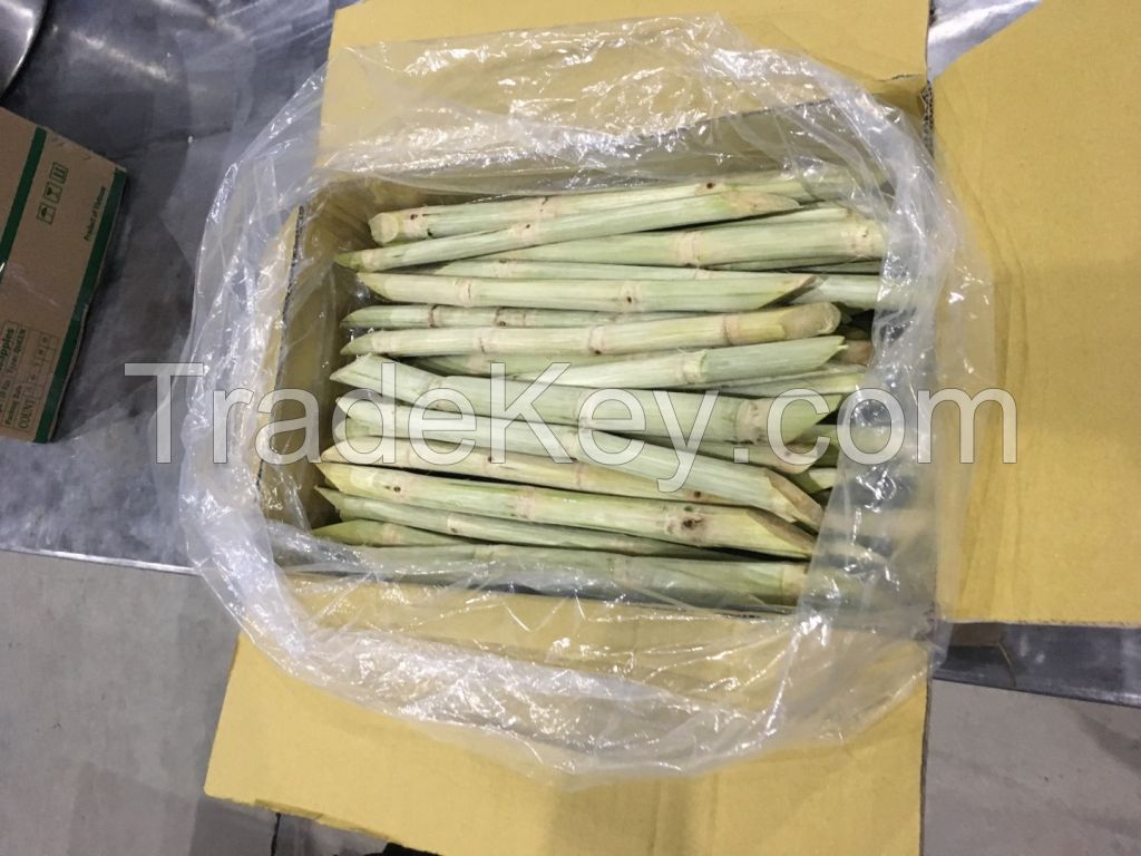 SUGARCANE FROZEN STICKS / PLANT-BASED / READY TO EAT / CLEAN PROCESS