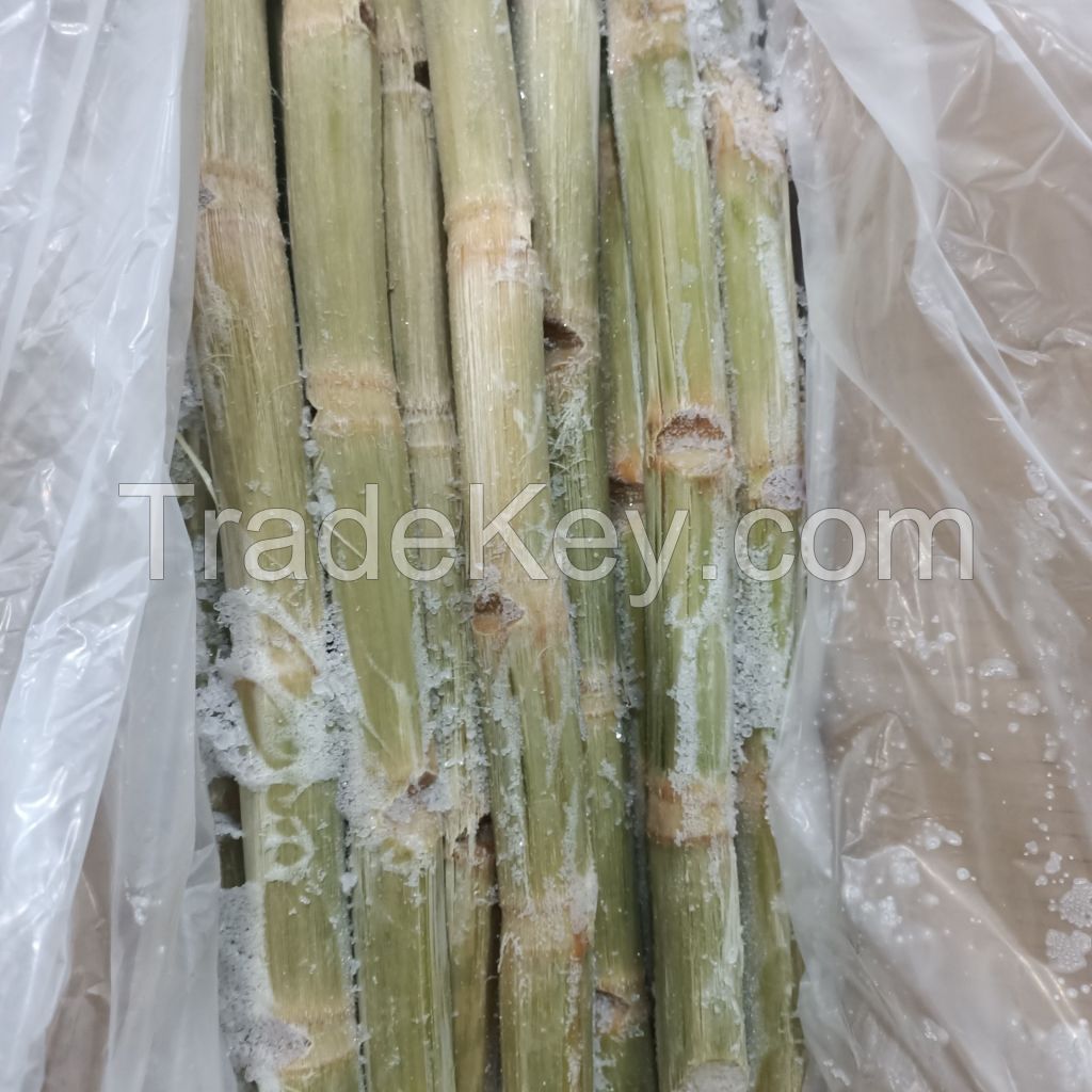 VIETNAMESE FROZEN SUGARCANE / FOOD GRADE / CLEAN LABEL / HAND CUT