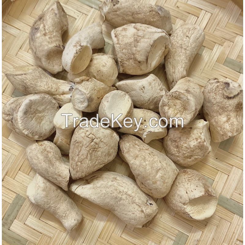 DRIED LEG SHIITAKE MUSHROOM / HIGH FIBER / IMMUNITY SUPPORT / PURE & NATURAL
