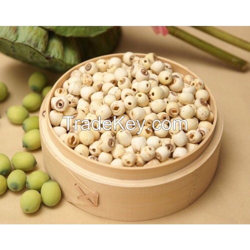 ALL-NATURAL DRIED LOTUS SEED / IMMUNITY BOOST / HIGH PROTEIN / ANTIOXIDANT-RICH
