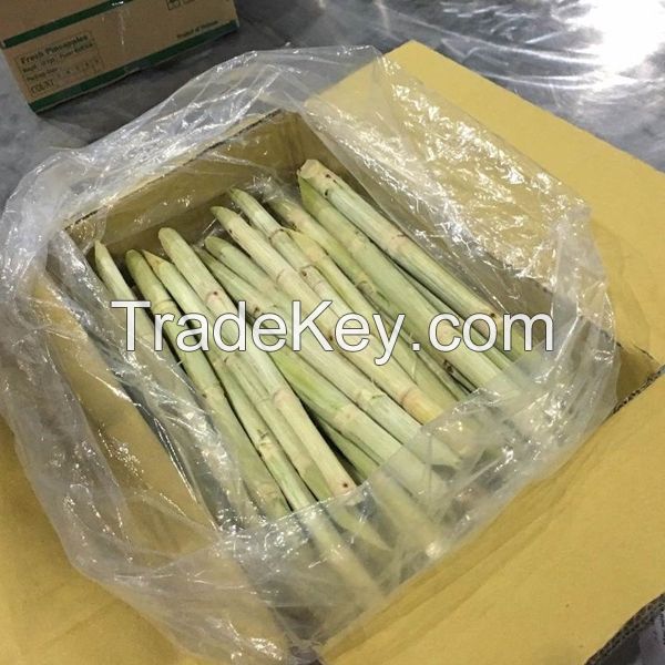 NATURALLY FROZEN SUGARCANE / CLEANLY PROCESSED / TROPICAL PLANT PRODUCT