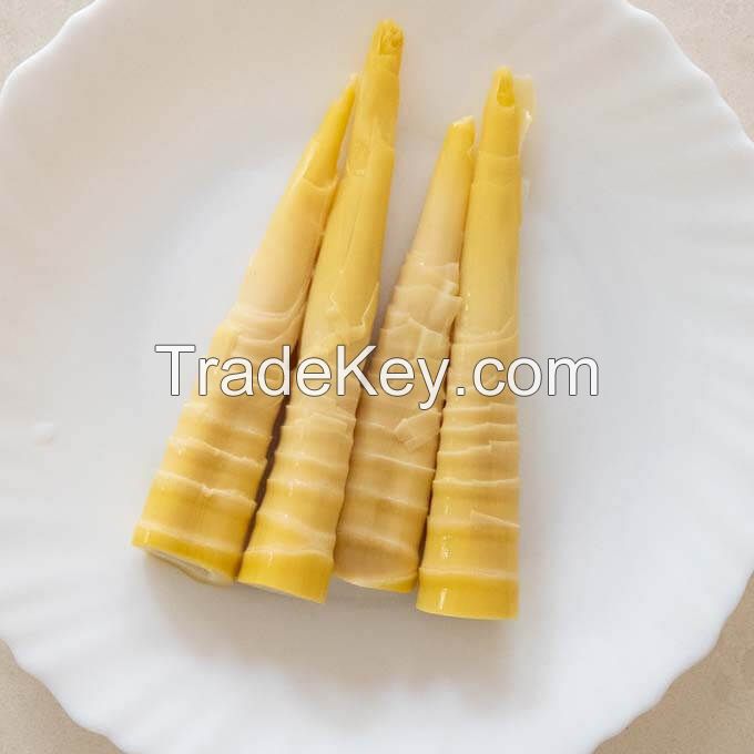 NATURAL FROZEN BAMBOO SHOOT / HIGH FIBER / CLEAN LABEL / CRISP TEXTURE
