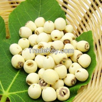ALL-NATURAL DRIED LOTUS SEED / IMMUNITY BOOST / HIGH PROTEIN / ANTIOXIDANT-RICH
