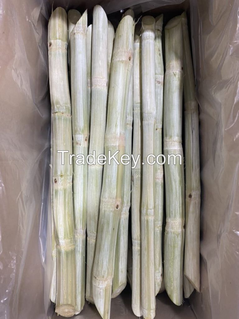 NATURALLY FROZEN SUGARCANE / CLEANLY PROCESSED / TROPICAL PLANT PRODUCT