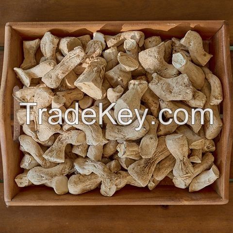 DRIED LEG SHIITAKE MUSHROOM / HIGH FIBER / IMMUNITY SUPPORT / PURE & NATURAL