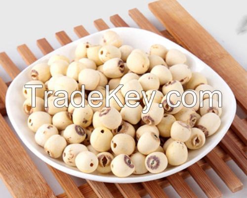 NATURAL DRIED LOTUS SEED / IMMUNITY BOOST / CLEAN LABEL / HIGH PROTEIN