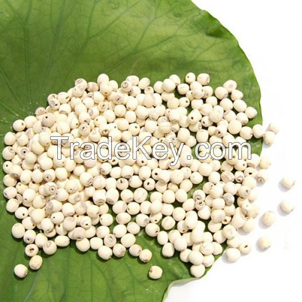 ALL-NATURAL DRIED LOTUS SEED / IMMUNITY BOOST / HIGH PROTEIN / ANTIOXIDANT-RICH