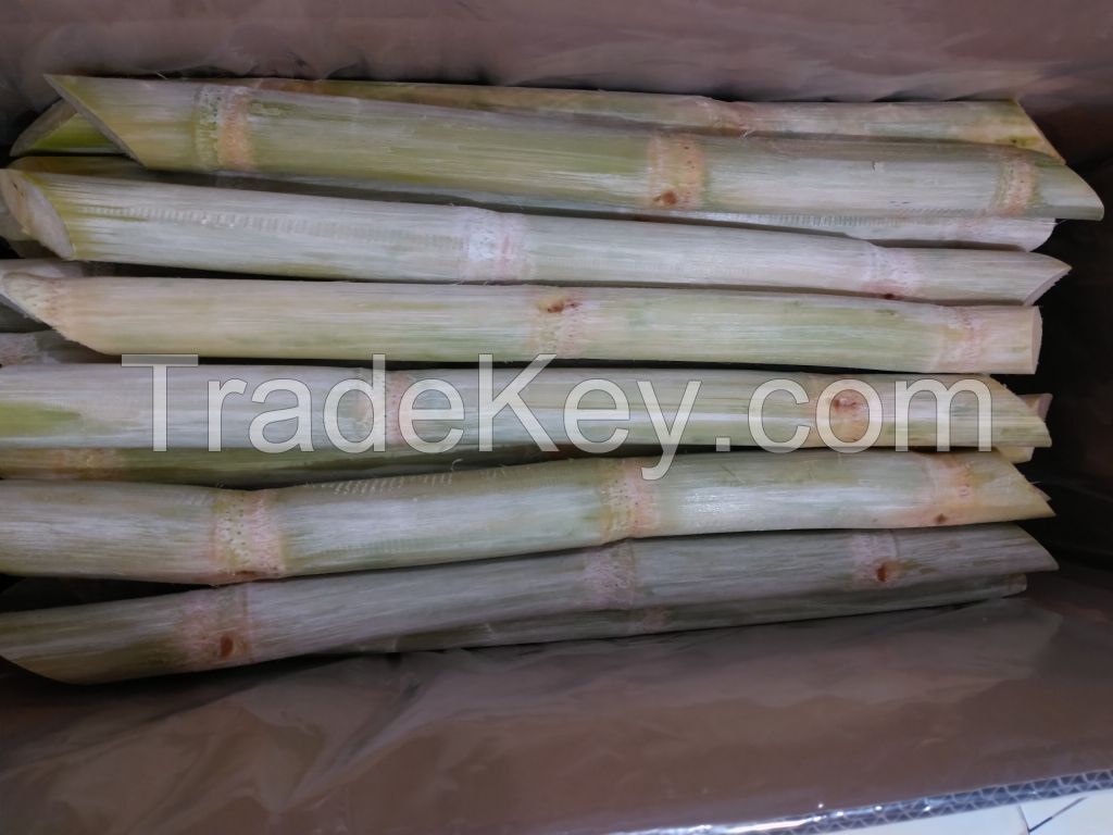 PREMIUM FROZEN SUGARCANE / NON-GMO / READY TO CHEW / VIETNAM ORIGIN