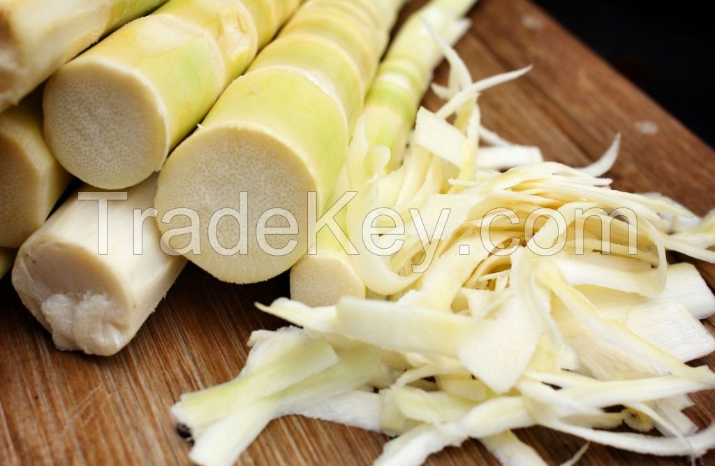 NATURAL FROZEN BAMBOO SHOOT / HIGH FIBER / CLEAN LABEL / CRISP TEXTURE