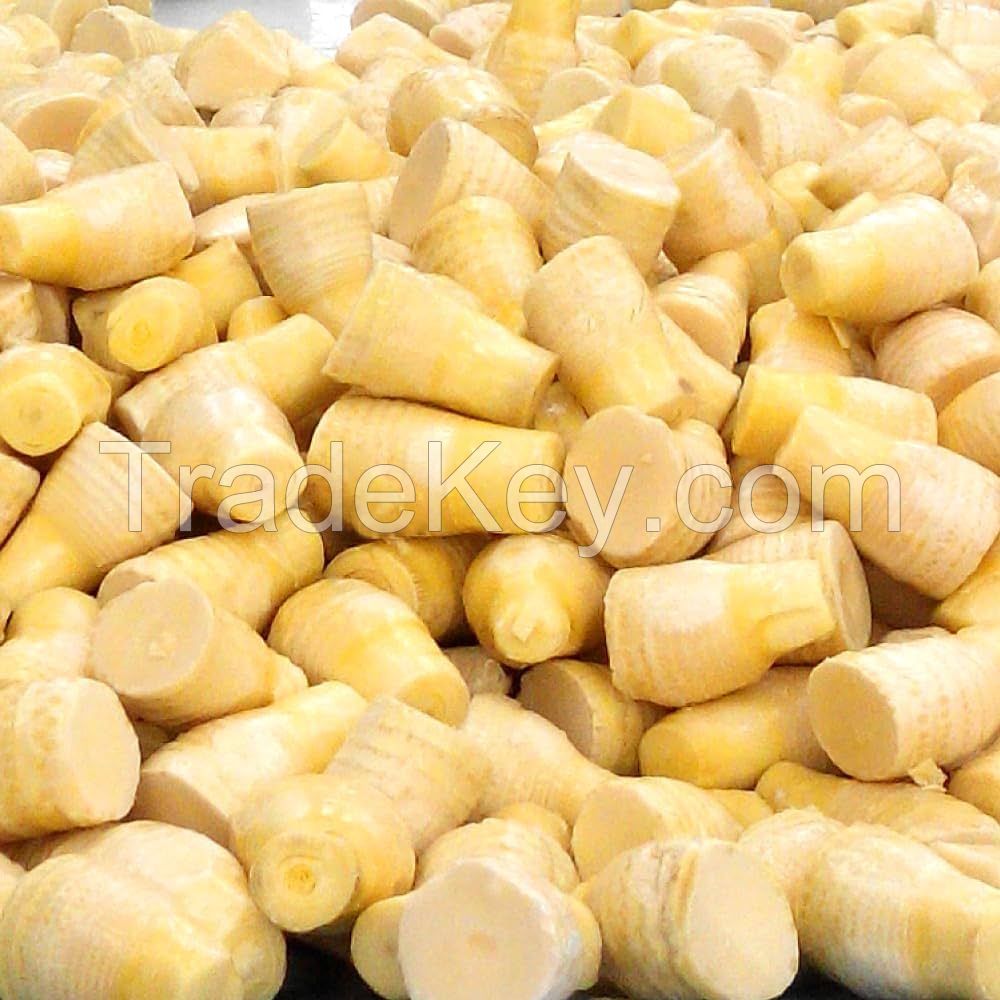 ALL-NATURAL FROZEN BAMBOO SHOOT / CLEAN LABEL / HIGH FIBER / VEGAN-FRIENDLY