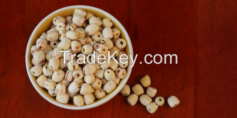 PURE DRIED LOTUS SEED / NO PRESERVATIVES / CLEAN LABEL / ENERGY BOOST