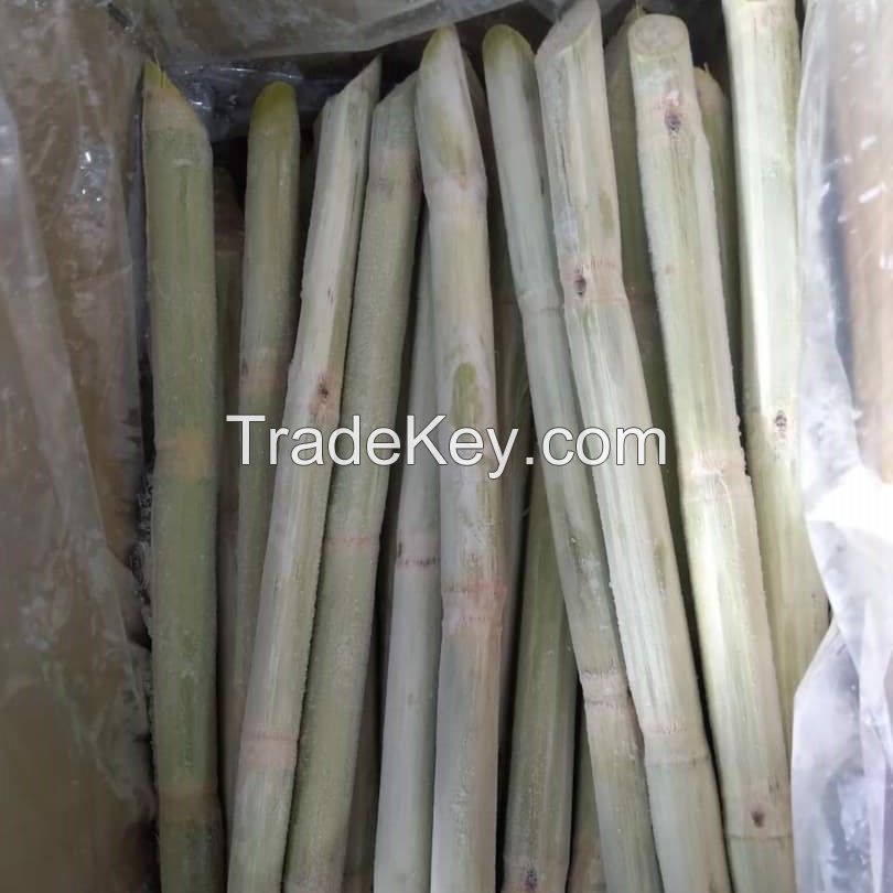 NATURALLY FROZEN SUGARCANE / CLEANLY PROCESSED / TROPICAL PLANT PRODUCT