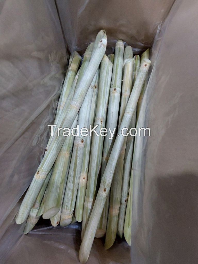 PREMIUM FROZEN SUGARCANE / NON-GMO / READY TO CHEW / VIETNAM ORIGIN