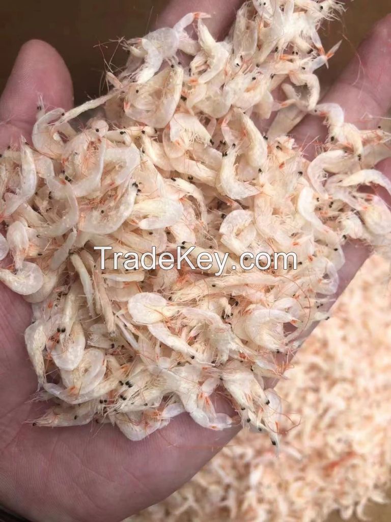 DRIED BABY SHRIMP / CLEAN LABEL / NATURAL SEAFOOD / READY TO USE
