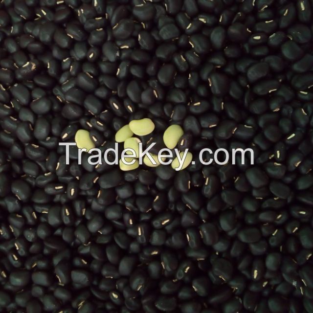 CLEAN LABEL BLACK BEANS WITH GREEN HEART / PLANT-SOURCED INGREDIENT