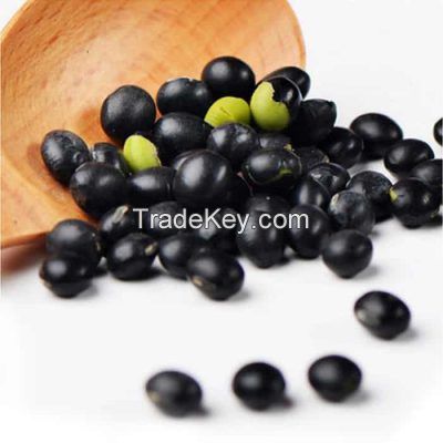 GREEN CORE BLACK BEANS / CLEAN LABEL / PLANT-BASED / NATURAL ORIGIN